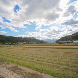 自然のなかでカフェ風で楽しむ