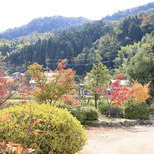 自然のなかでカフェ風で楽しむ